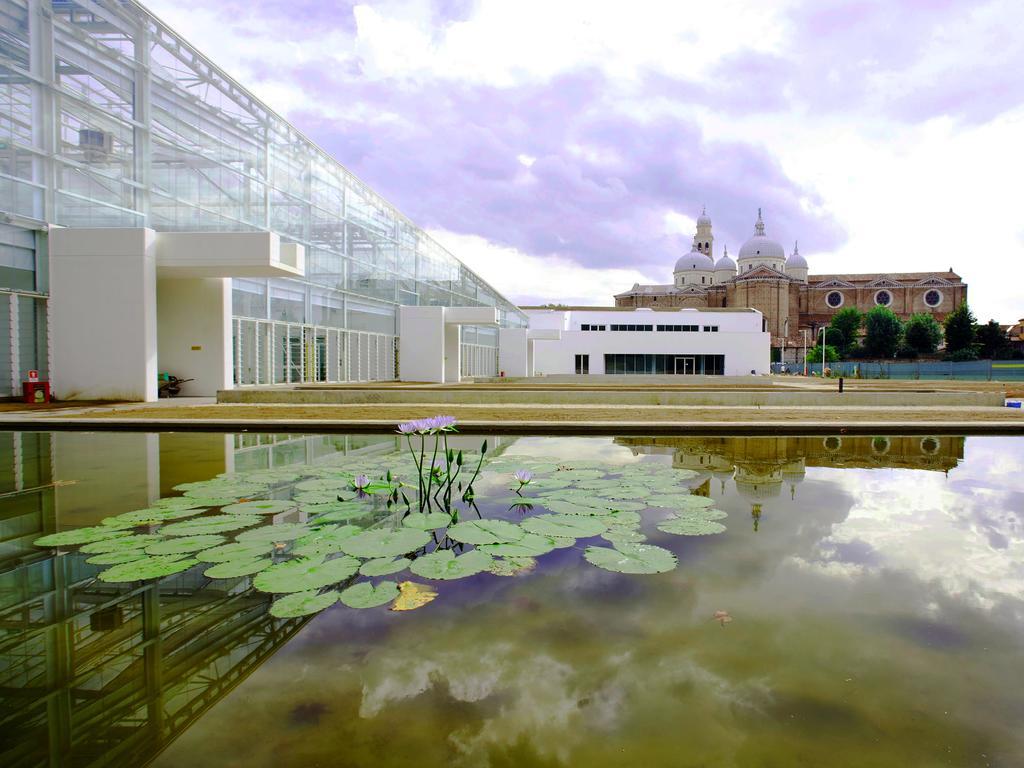 Villa Pollini Torreglia Dış mekan fotoğraf