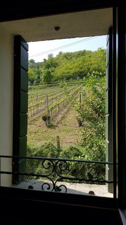 Villa Pollini Torreglia Dış mekan fotoğraf